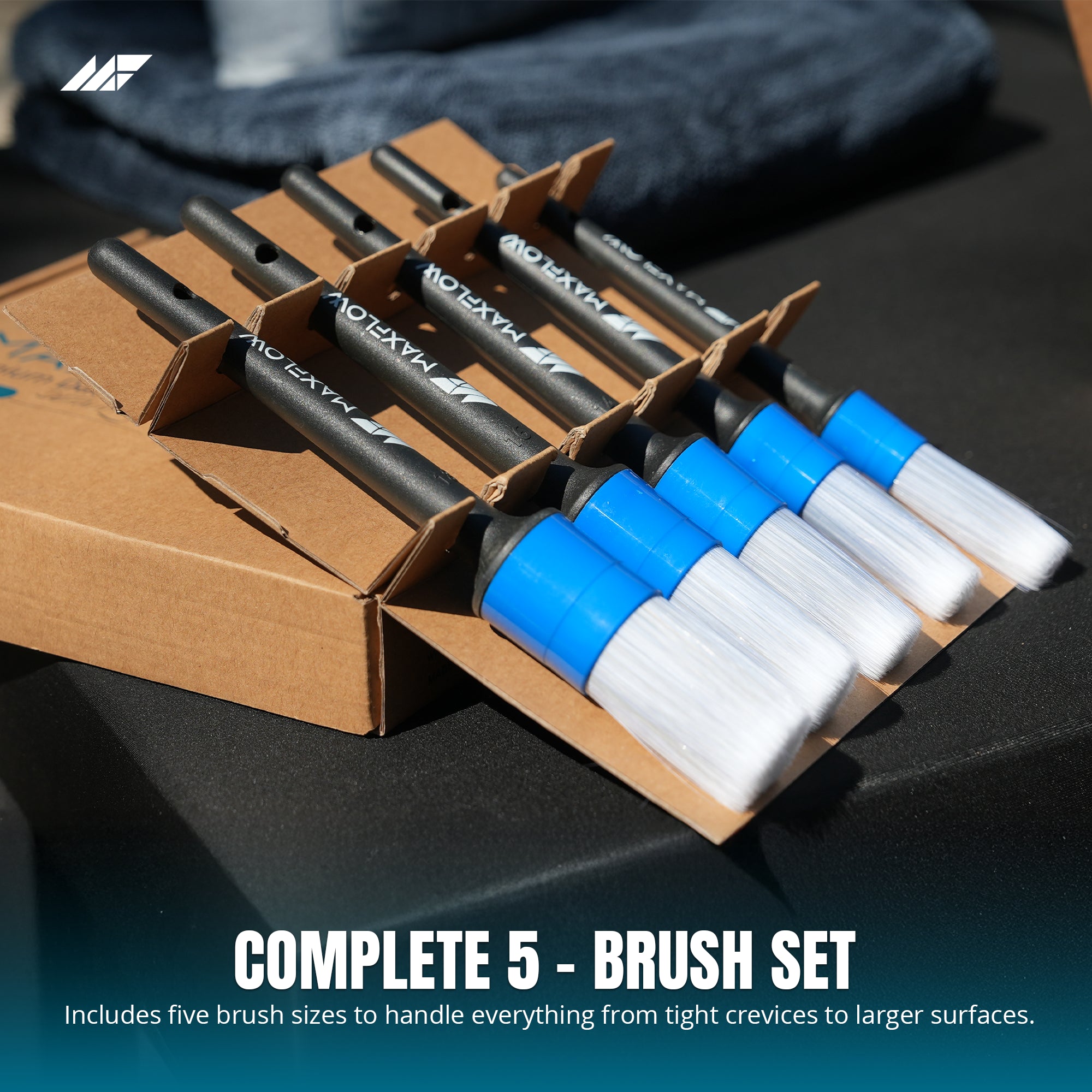 Detailing Brush 5 Pcs Set