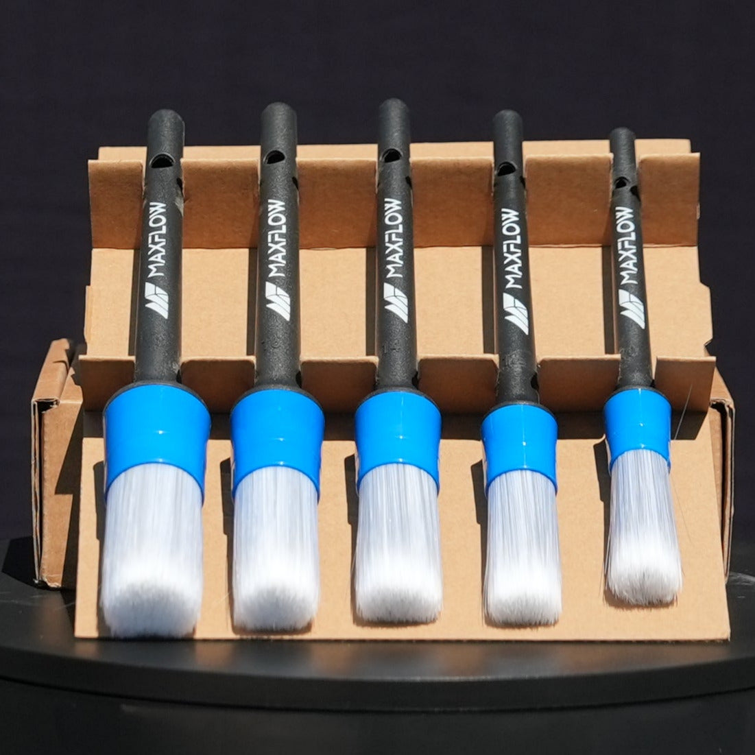 Detailing Brush 5 Pcs Set